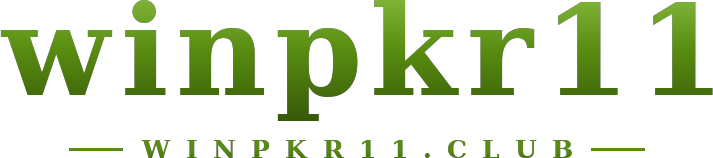 winpkr11 logo